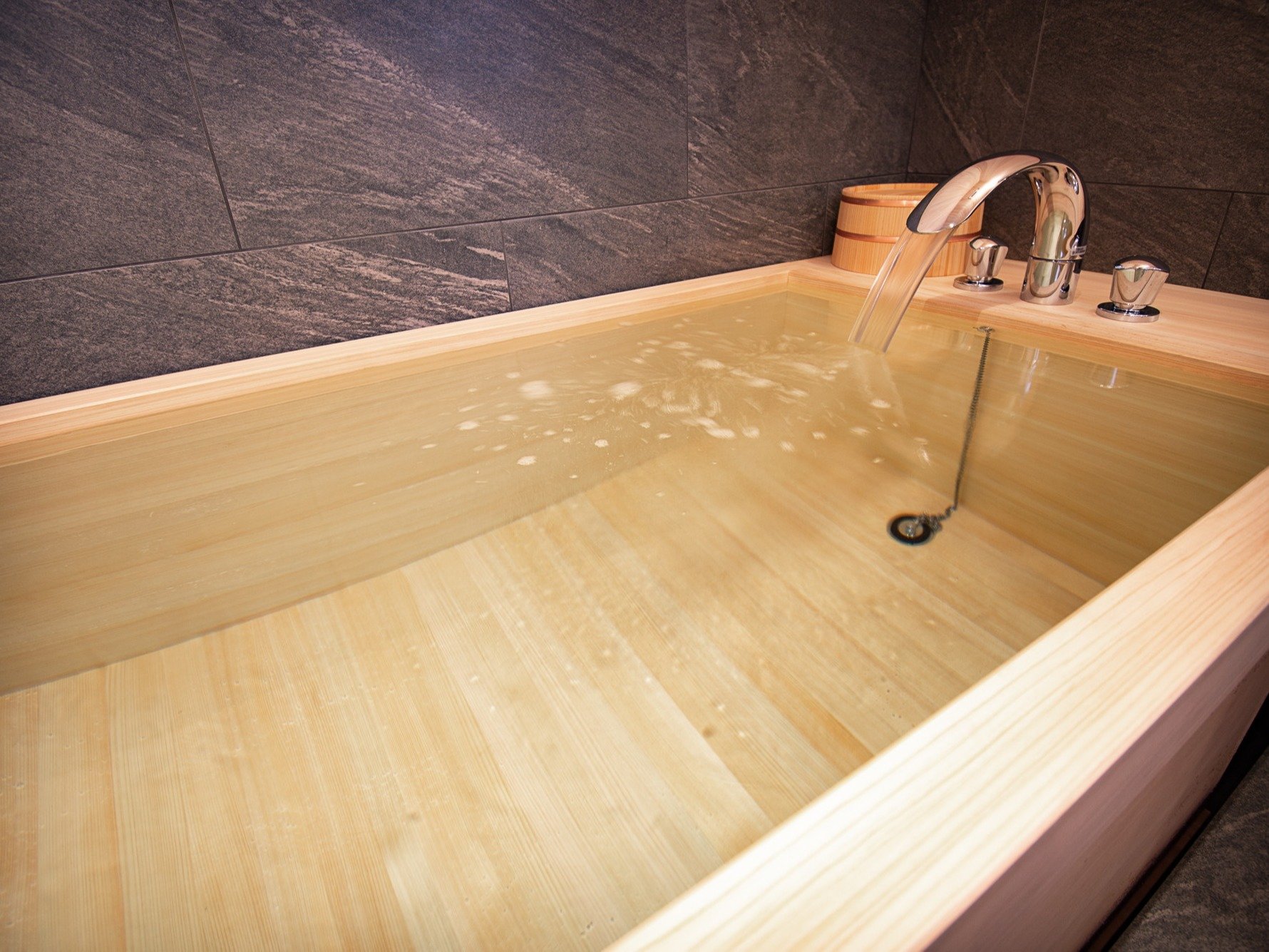 �y�w���C�z�w�̎��R�̍���ɖ�����܂��B