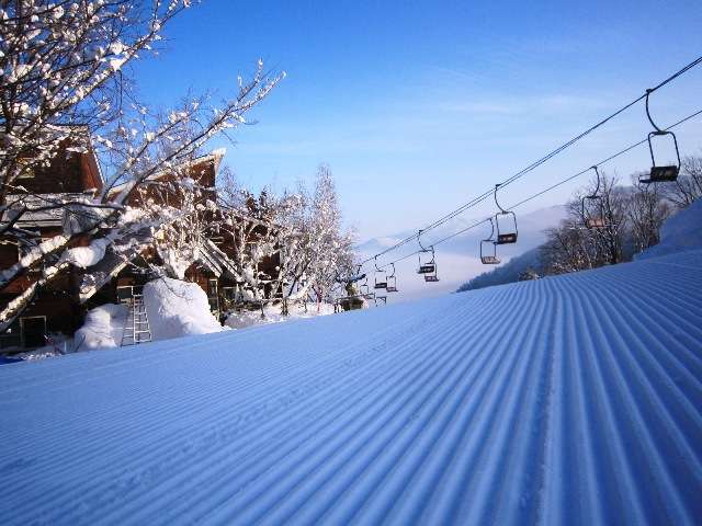 �Q�����f�������I���������̃O���[�r�[