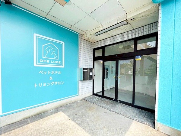 ���z�e���P�K�Ɂy�y�b�g�T�����E�n�m�d �k�t�j�d���s�X�z���n�o�d�m�ITEL�F�O�T�V�S�|�U�P�|�R�T�Q�O