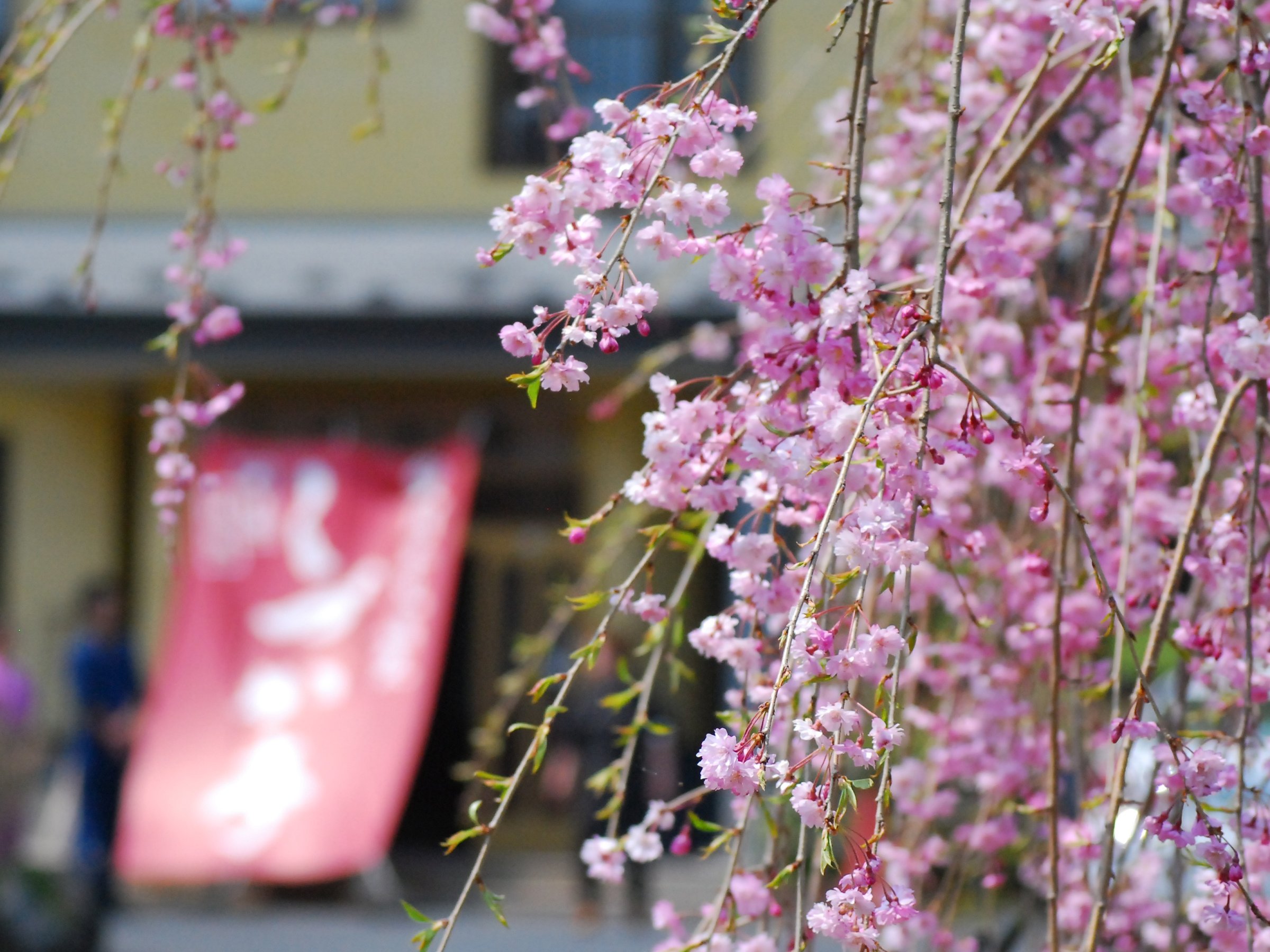 �����@���o�}��