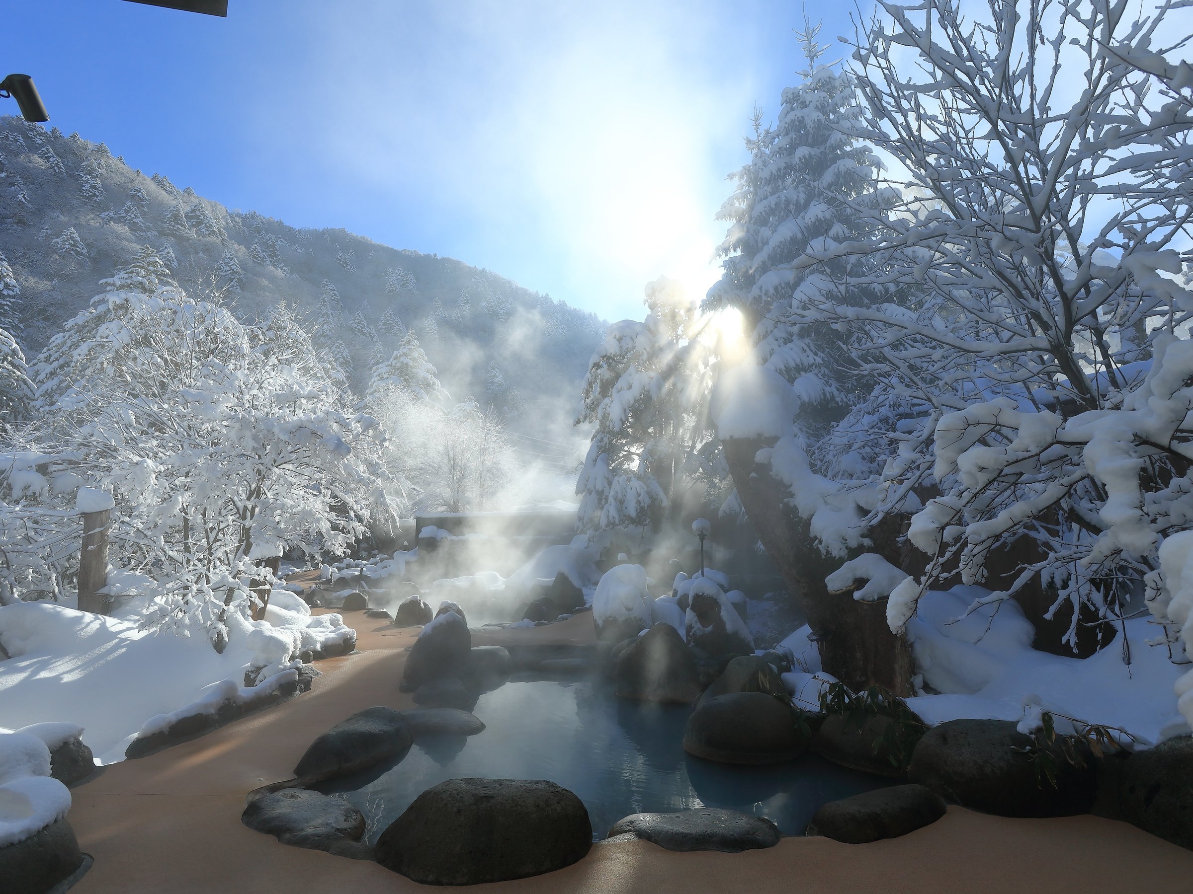 ��i�F�̂Ђ��̐X�I�V���C�ł��B���ق���k��5���A�O������ɂ��o���������܂��B