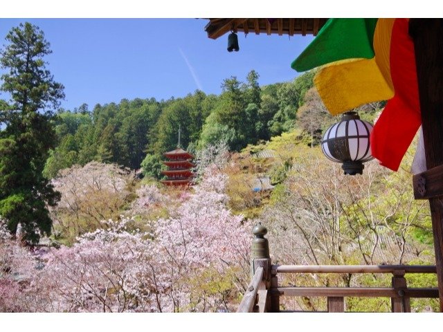 ���J���F�z�e�����ԂŖ�20���A�d�ԂŖ�30���B