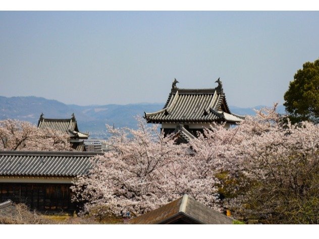 �S�R��ՁF�ԁA�d�ԂƂ��z�e������60���B