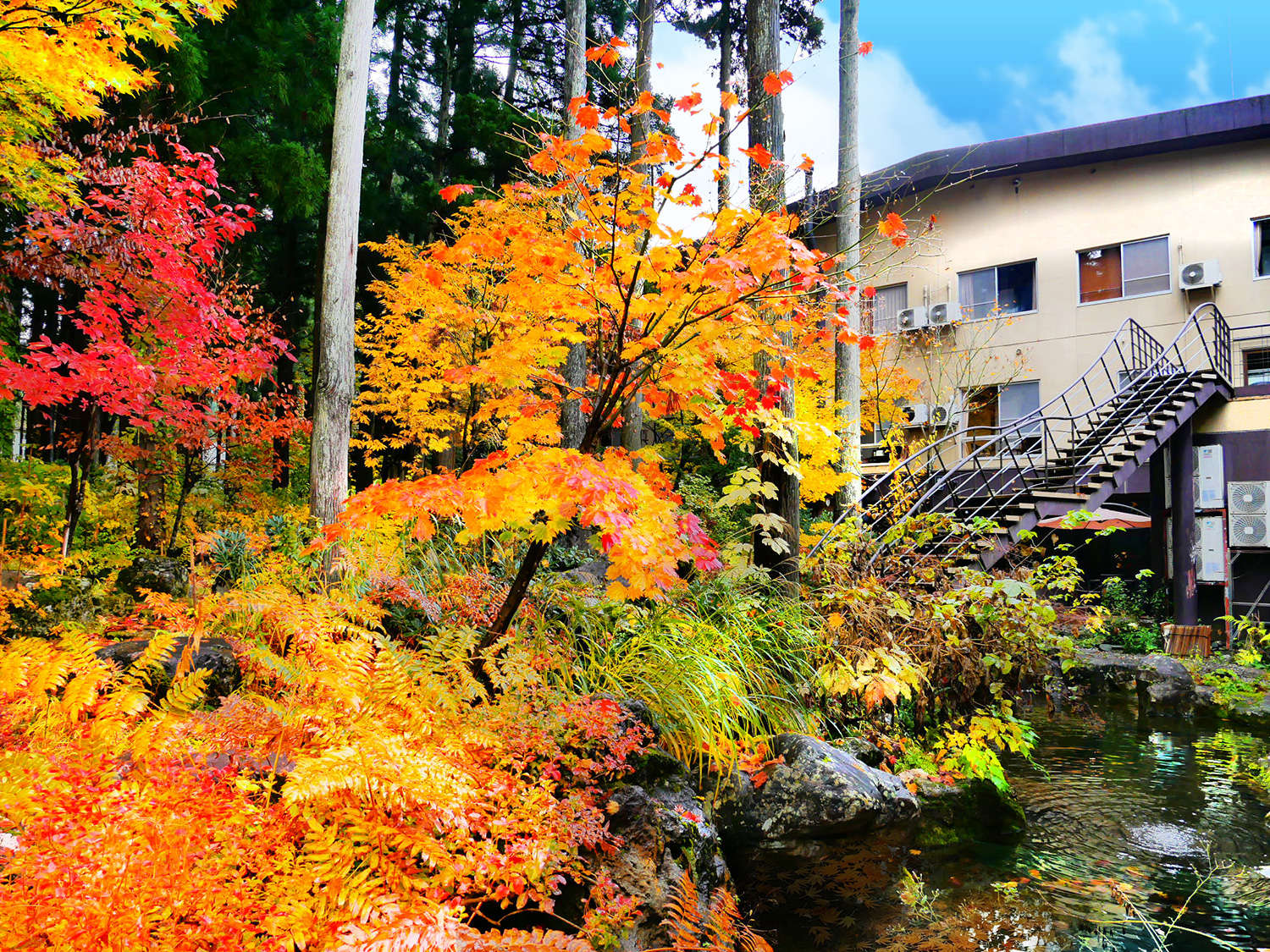 紅葉の庭園からのぞむ外観