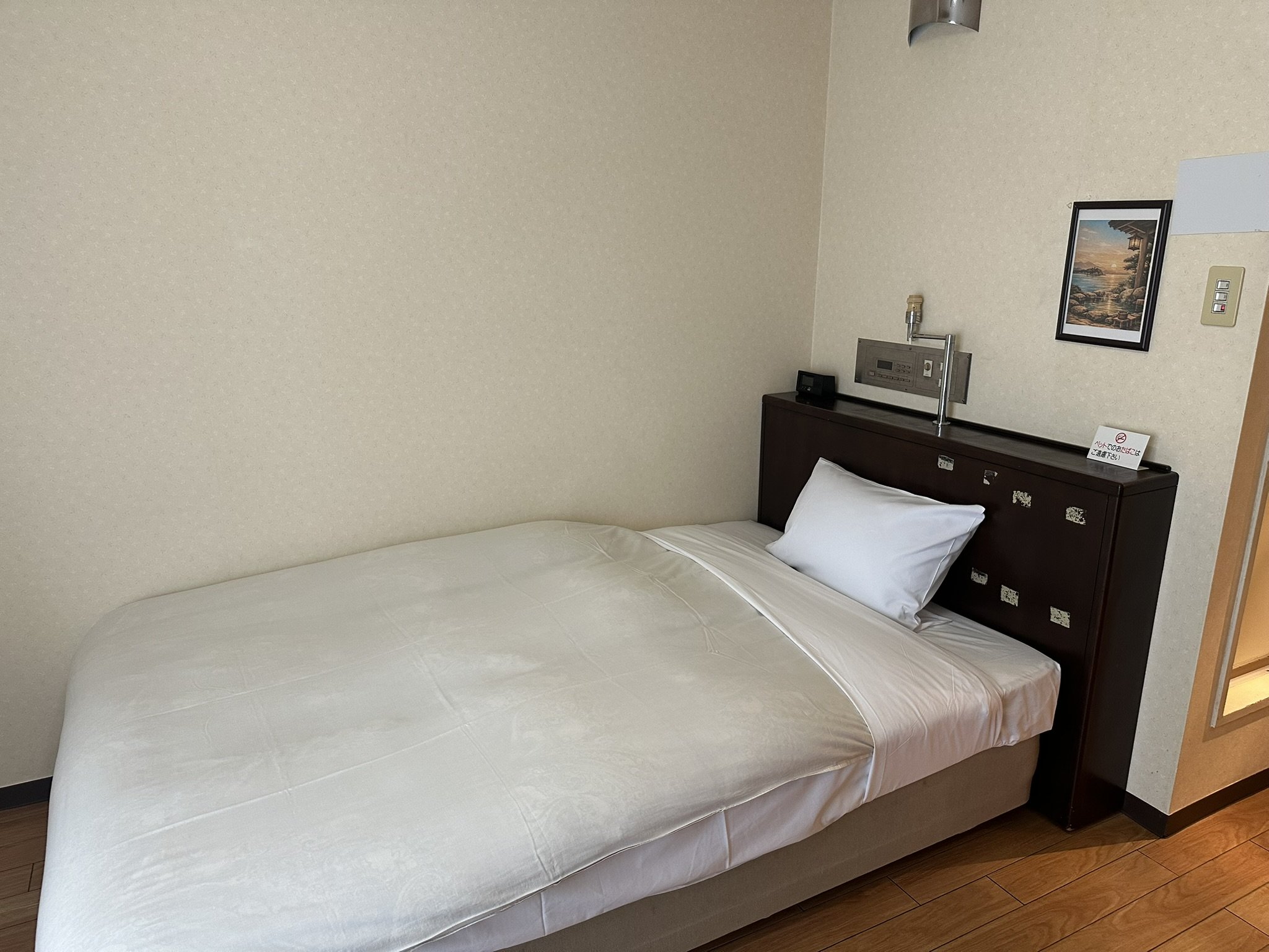 �V���O��