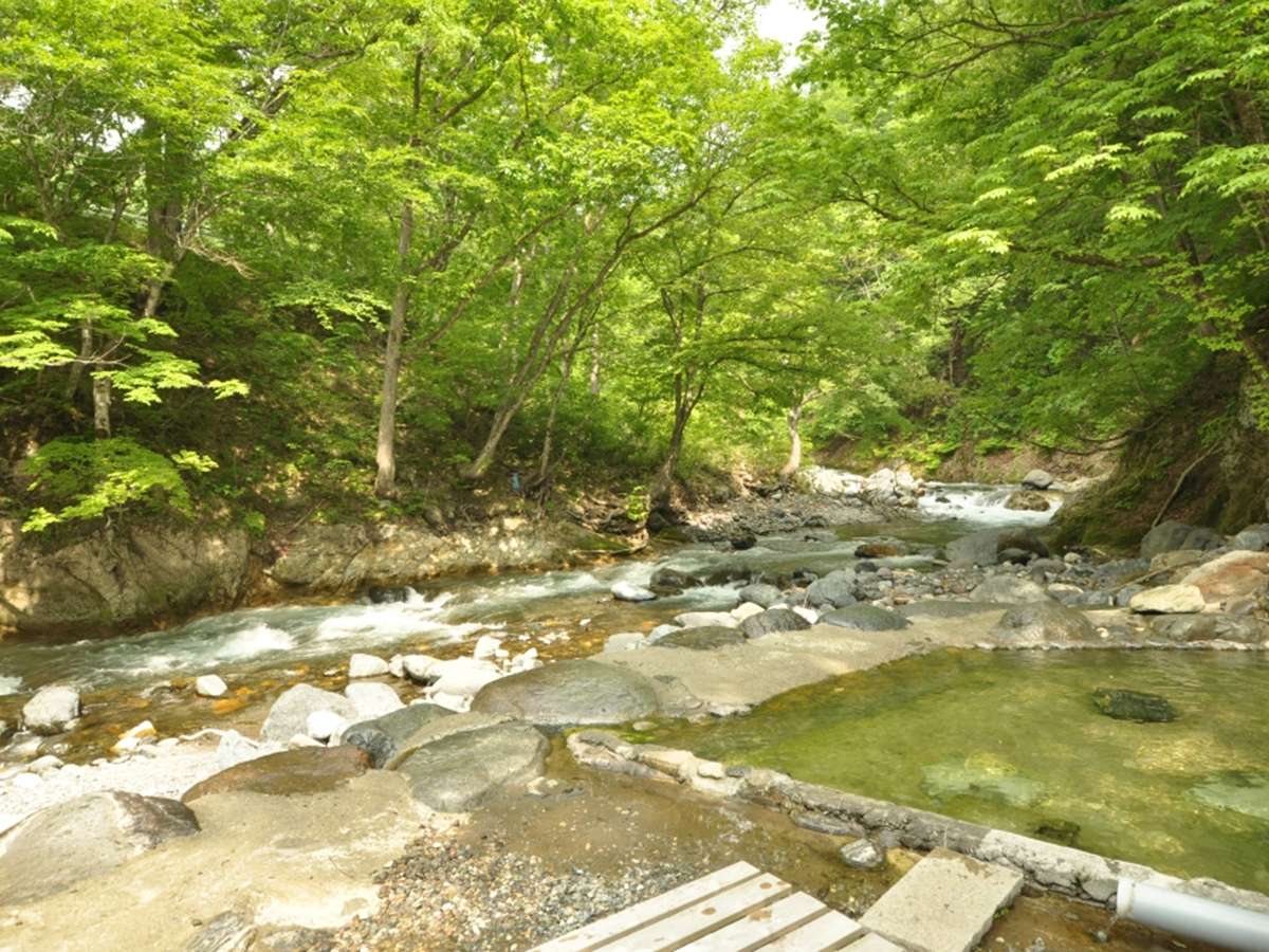 �I�V���C�u�열�v����̌i�F�B�����쌹���̈�u���̏������v�B�����̂a�f�l���S�n�ǂ������n��܂��B