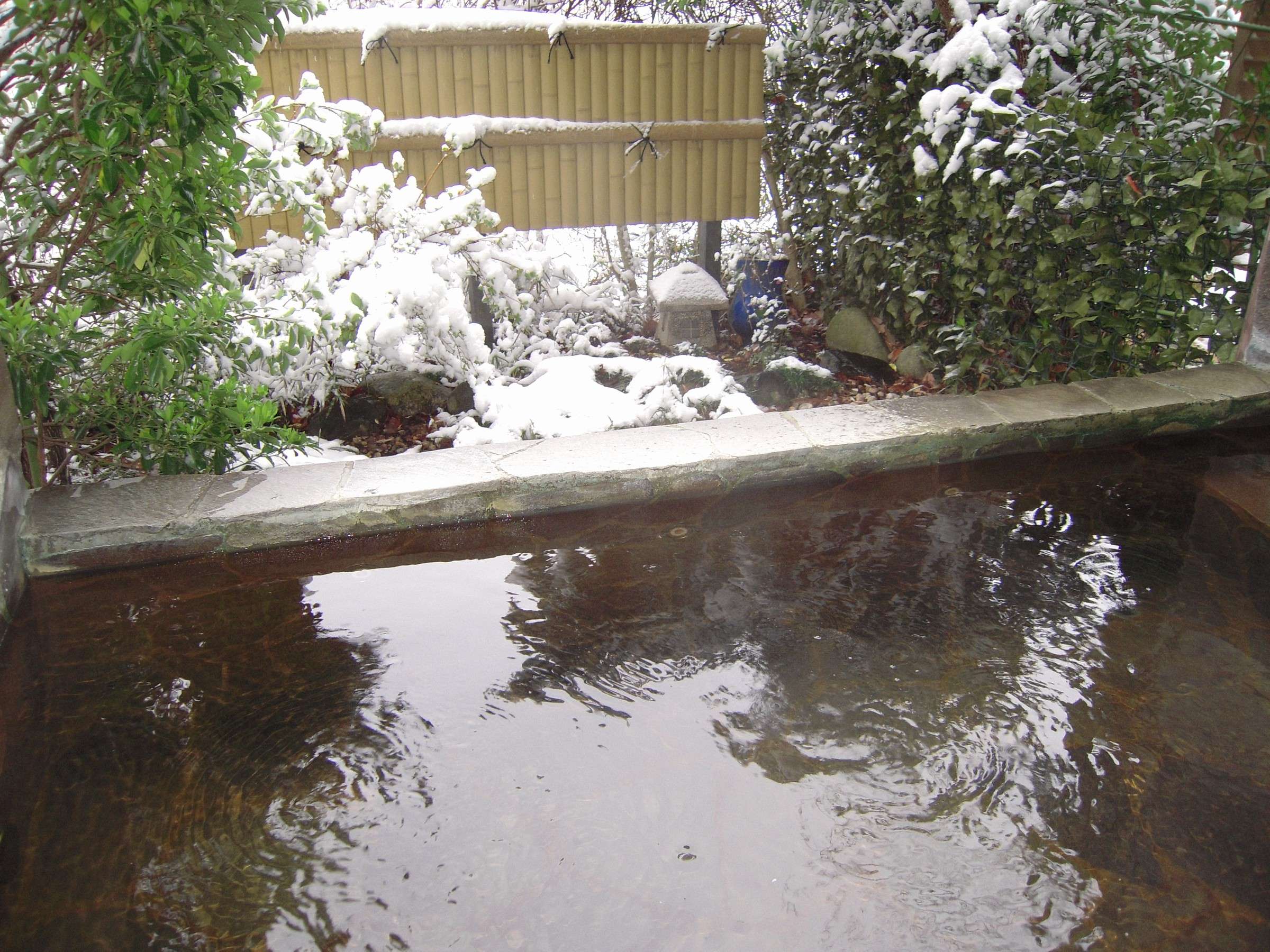 �ጩ�̘I�V�ƌ��������E�E�E