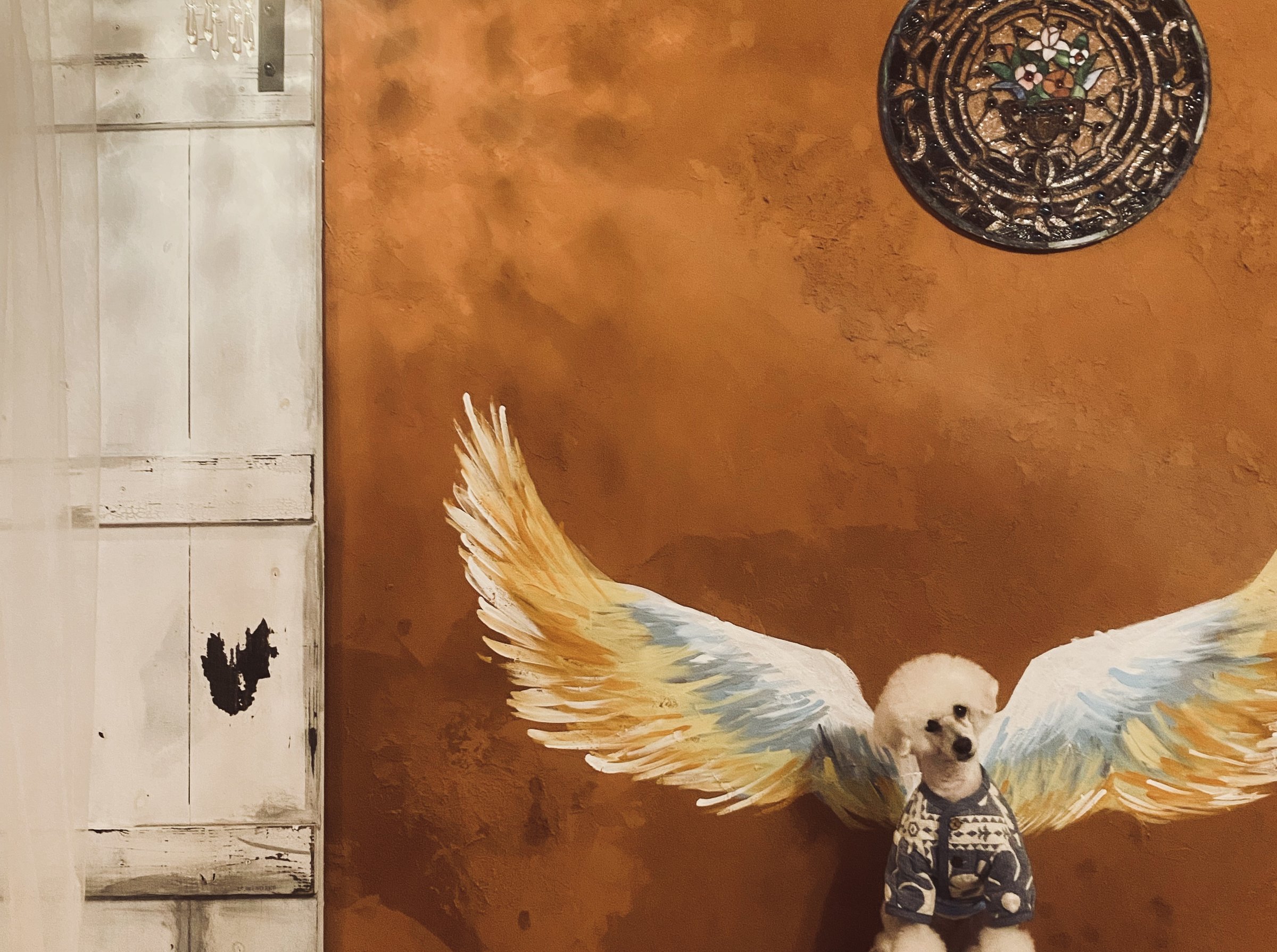 ���������A���q�l�A�F�l�łǂ����B