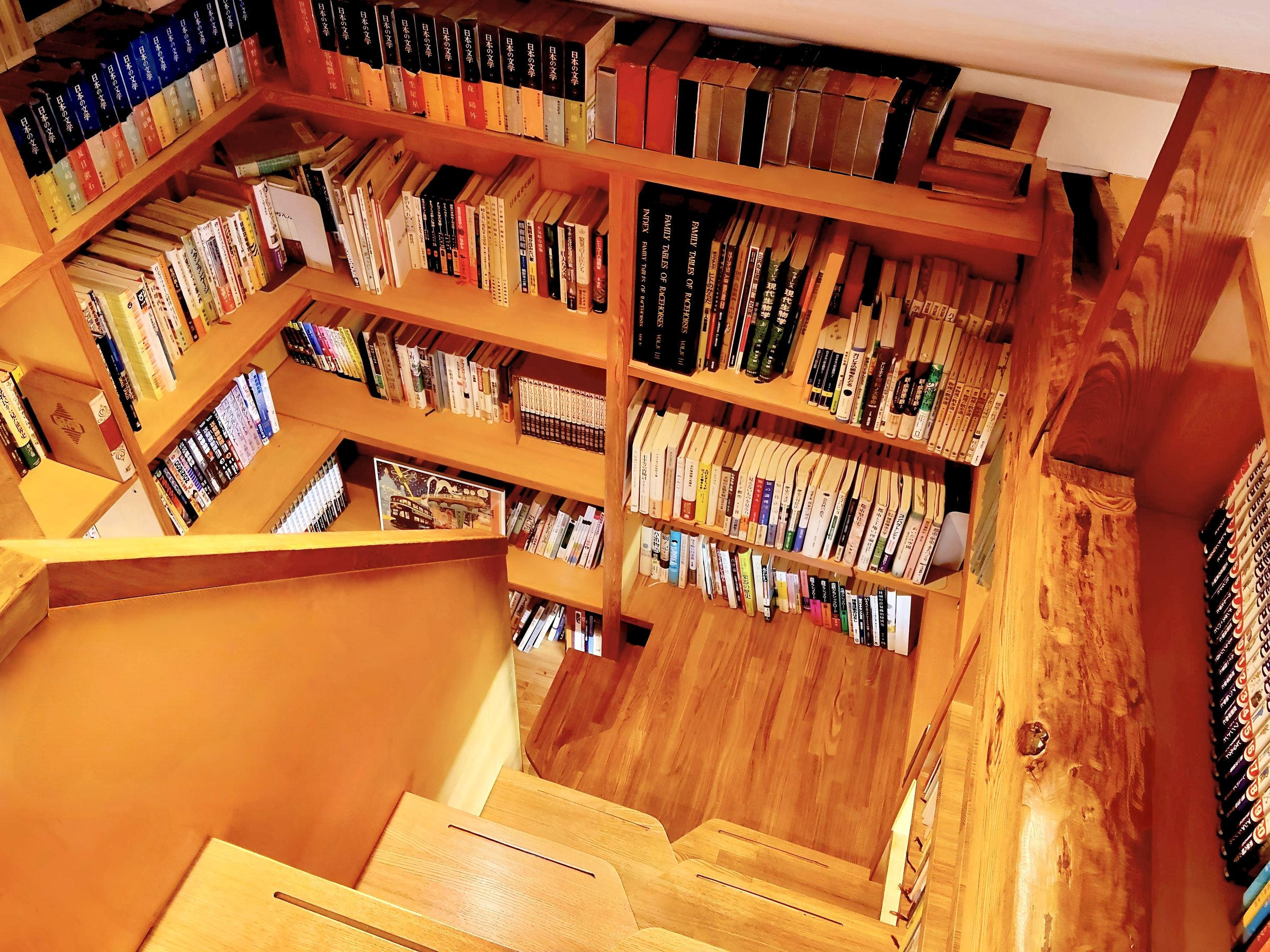 ���C�ɓ���̂P����T���A�Ǐ����y���ޗ��ց�