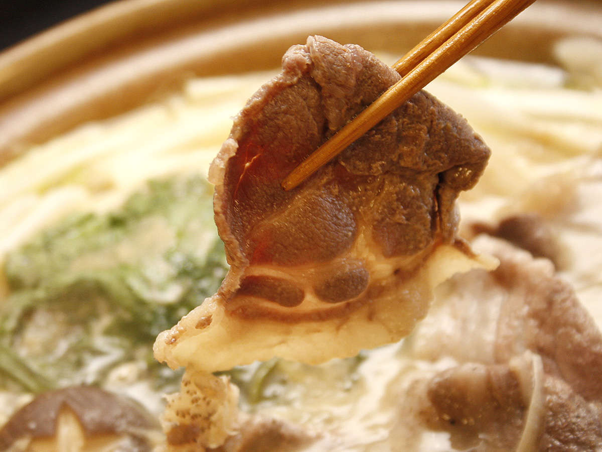 ڂF܂₩ȕłBXƂ͔̑QI