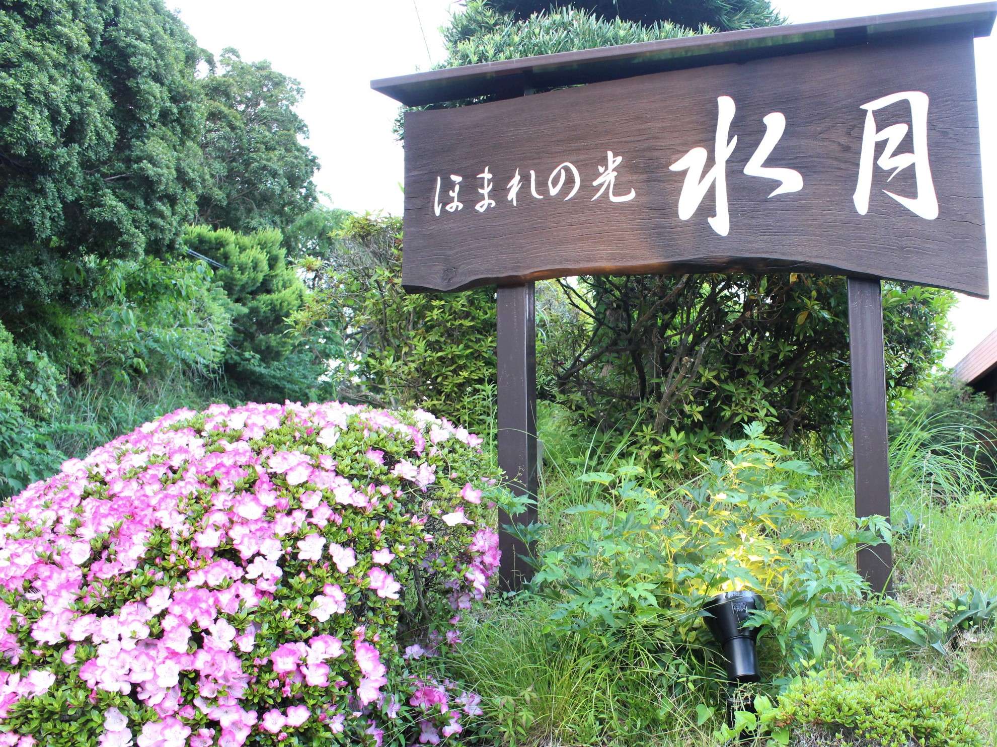 �悤������