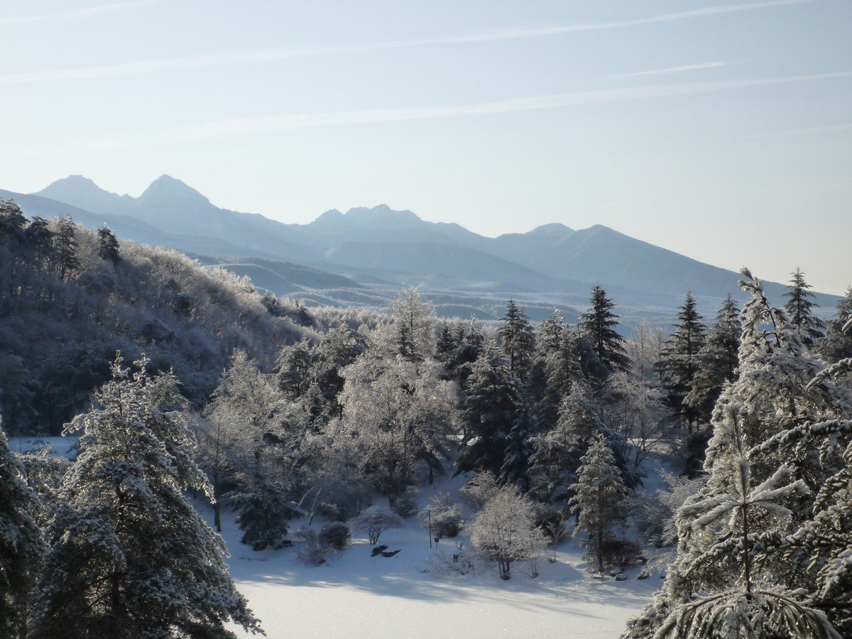 ��i�F�@�������R�X��]��