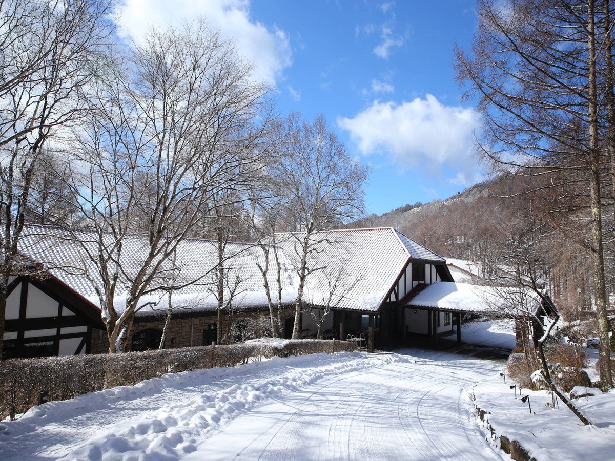 �������ʐ^�����ȋ␢�E���L����܂��B