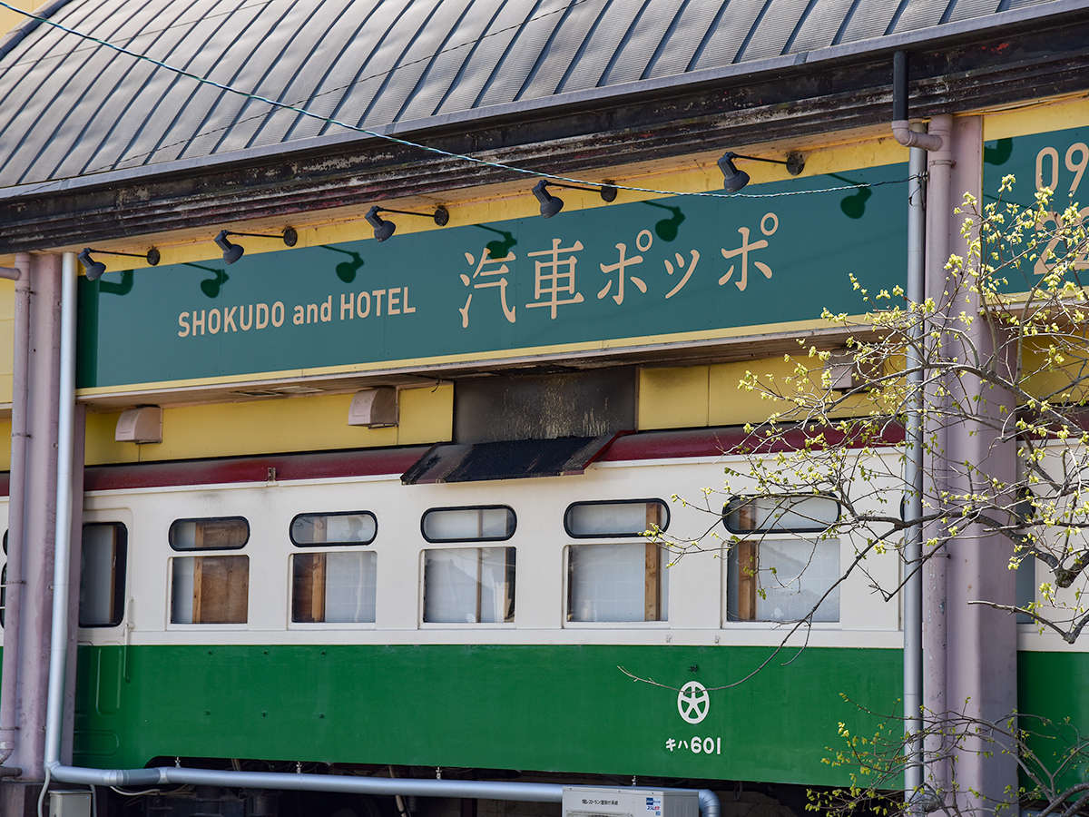 *�y���h�O�ρz�悤�����I�D�ԃ|�b�|�ցI