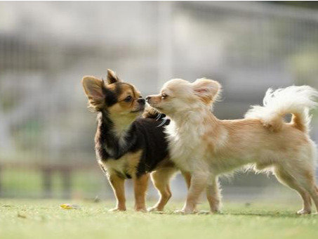 ���^�������h����