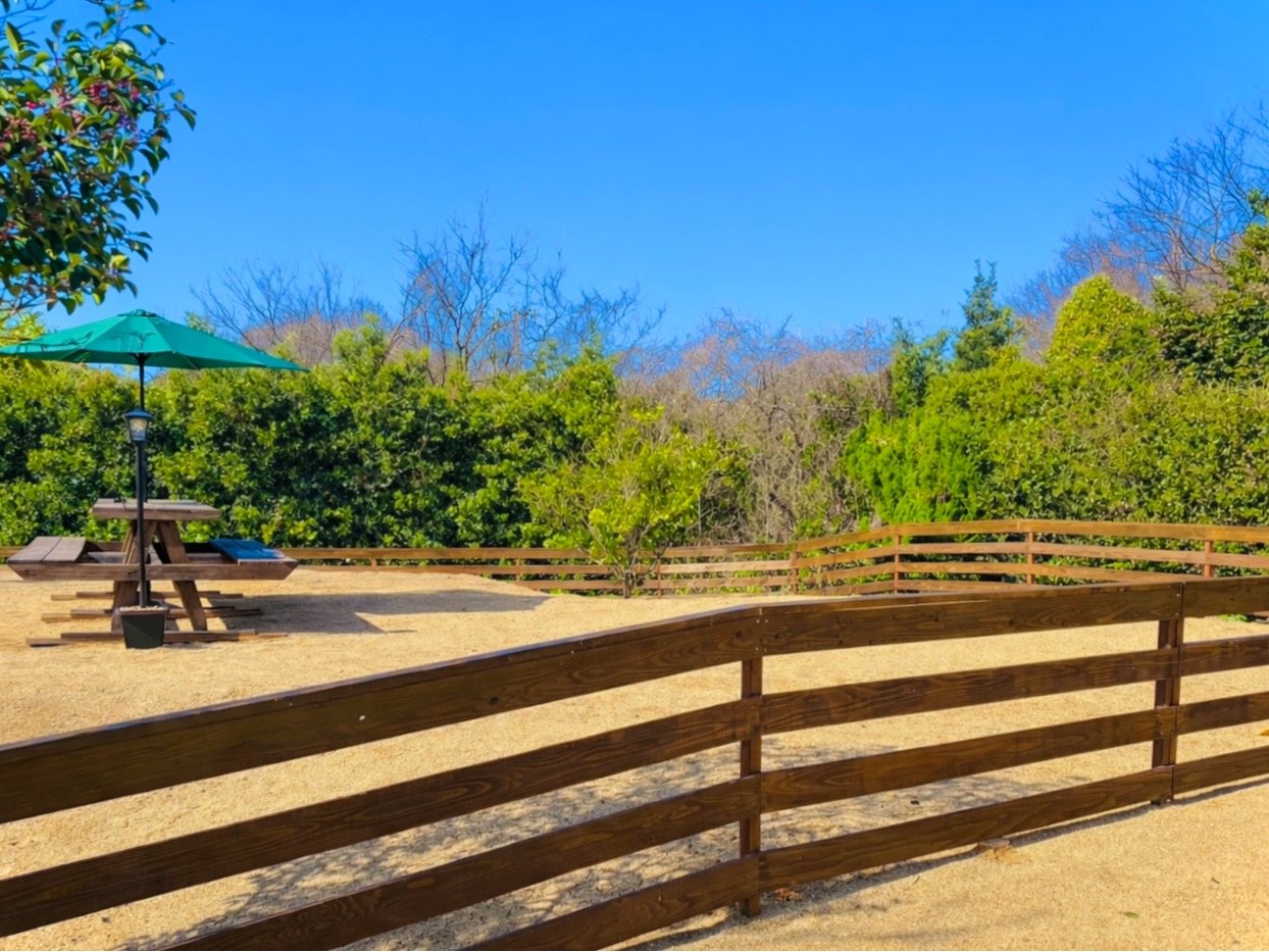 �h�b�N����(��)