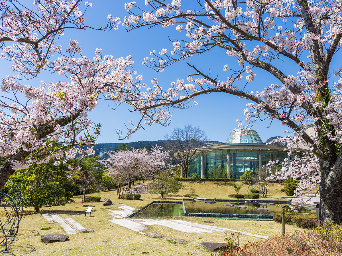 �z�e���O��