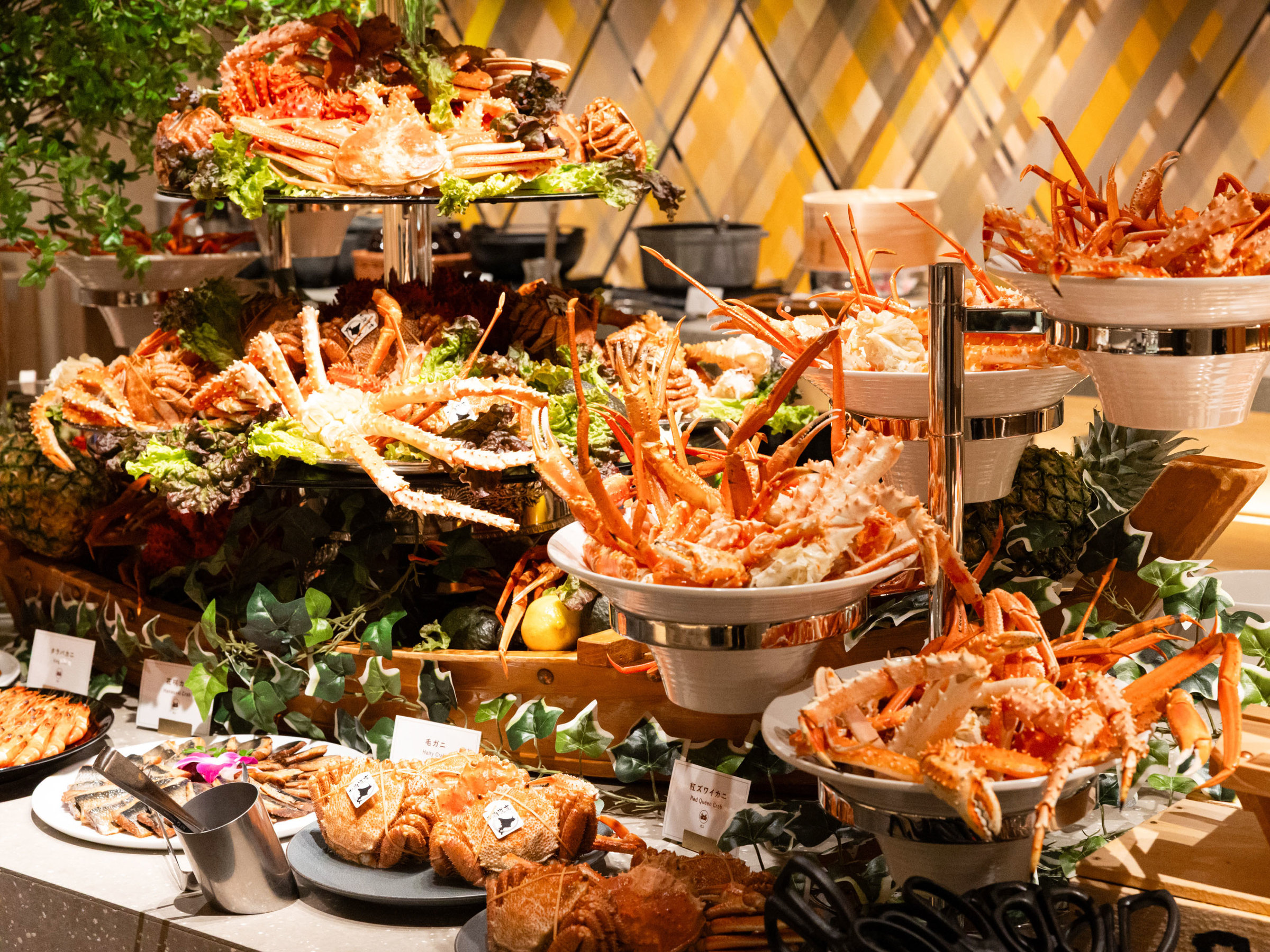 �u�U�E�n�[�o�[�v�f�B�i�[�r���b�t�F �J�j����܂� ���㌈��