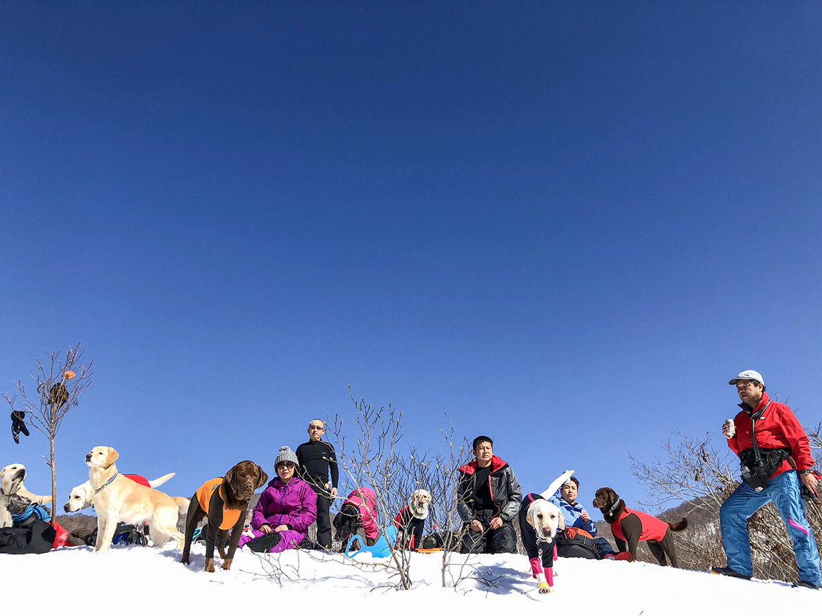 #�����Ɛ�V��