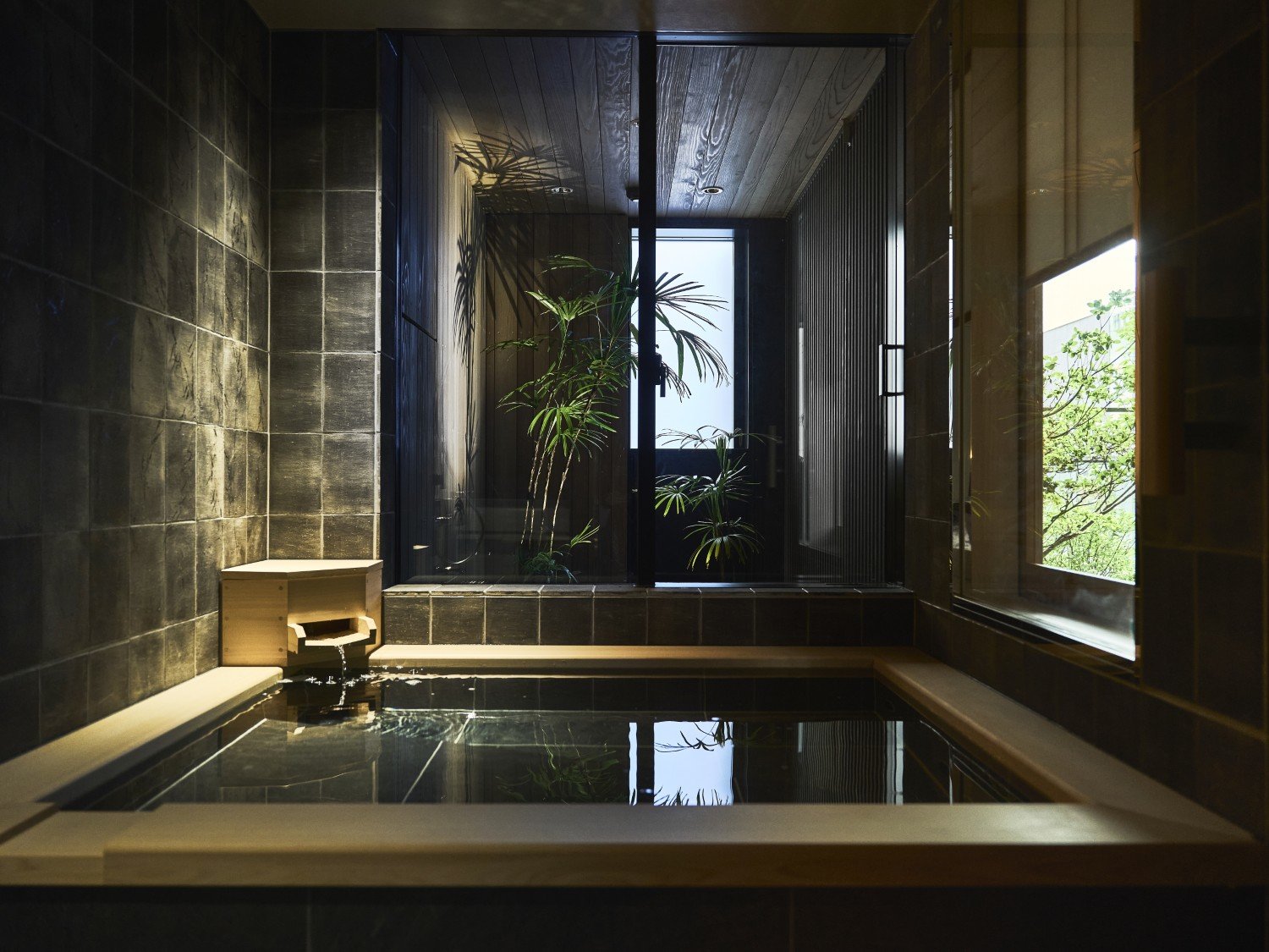 �q�����C���