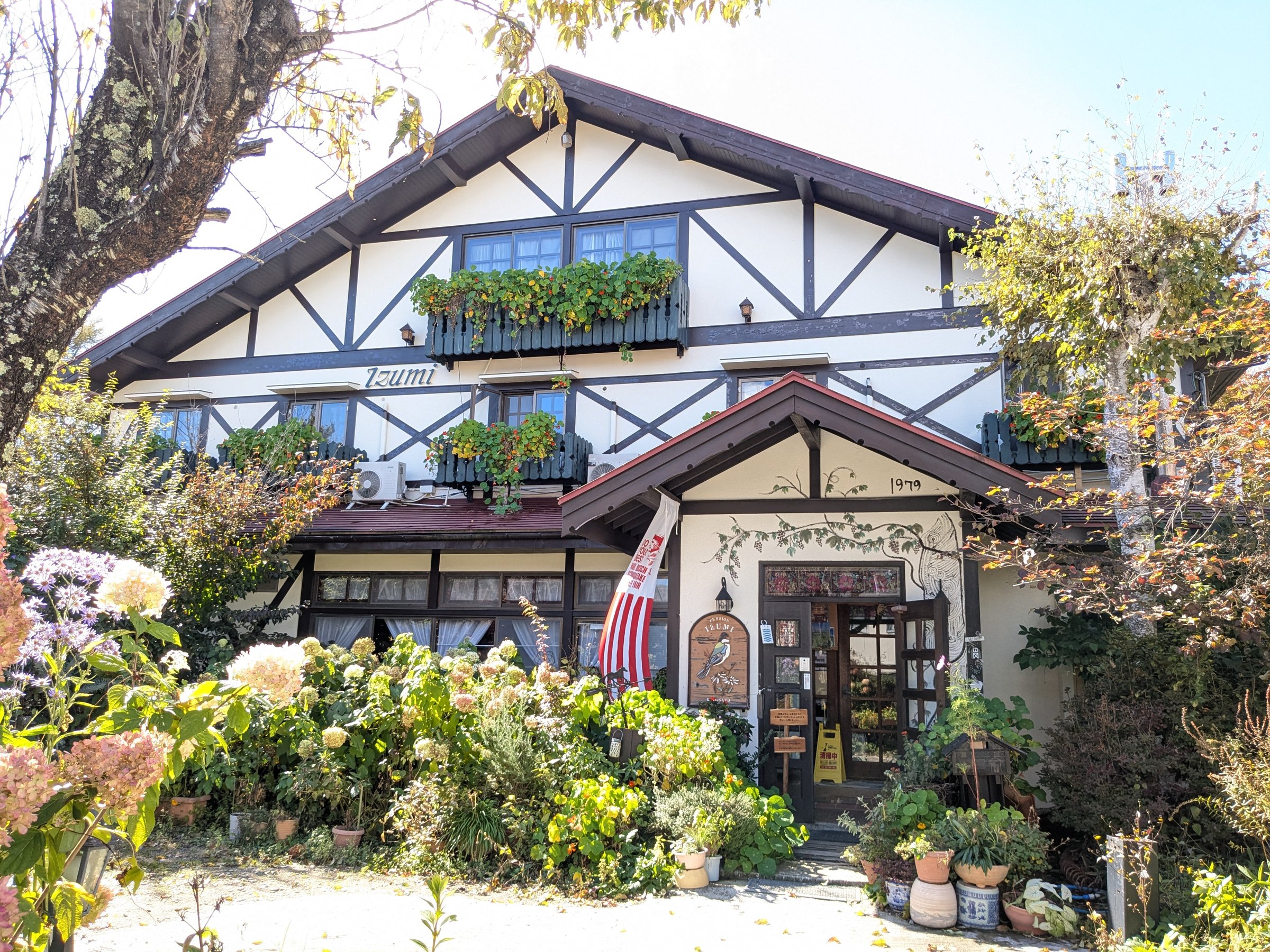 �y���V�����O��_��