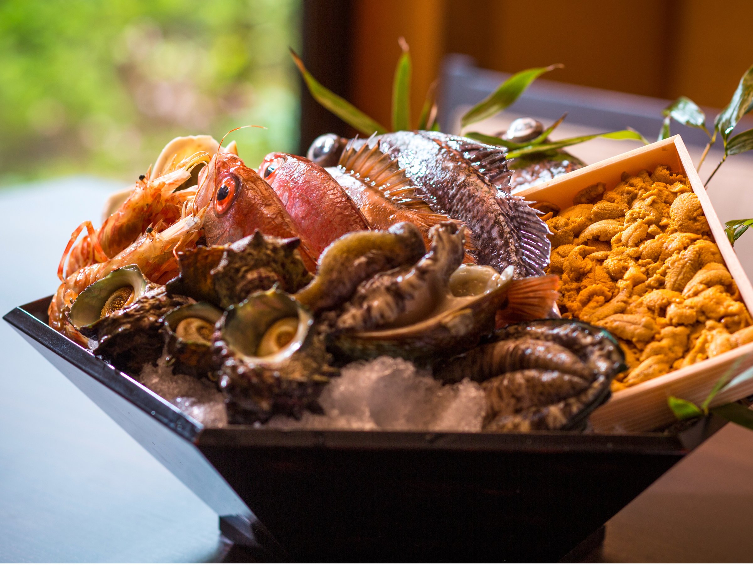 �y�[�M �t�z鸂�_�O�A�u�G���Ȃǂ��H����ʂ�܂�[���]