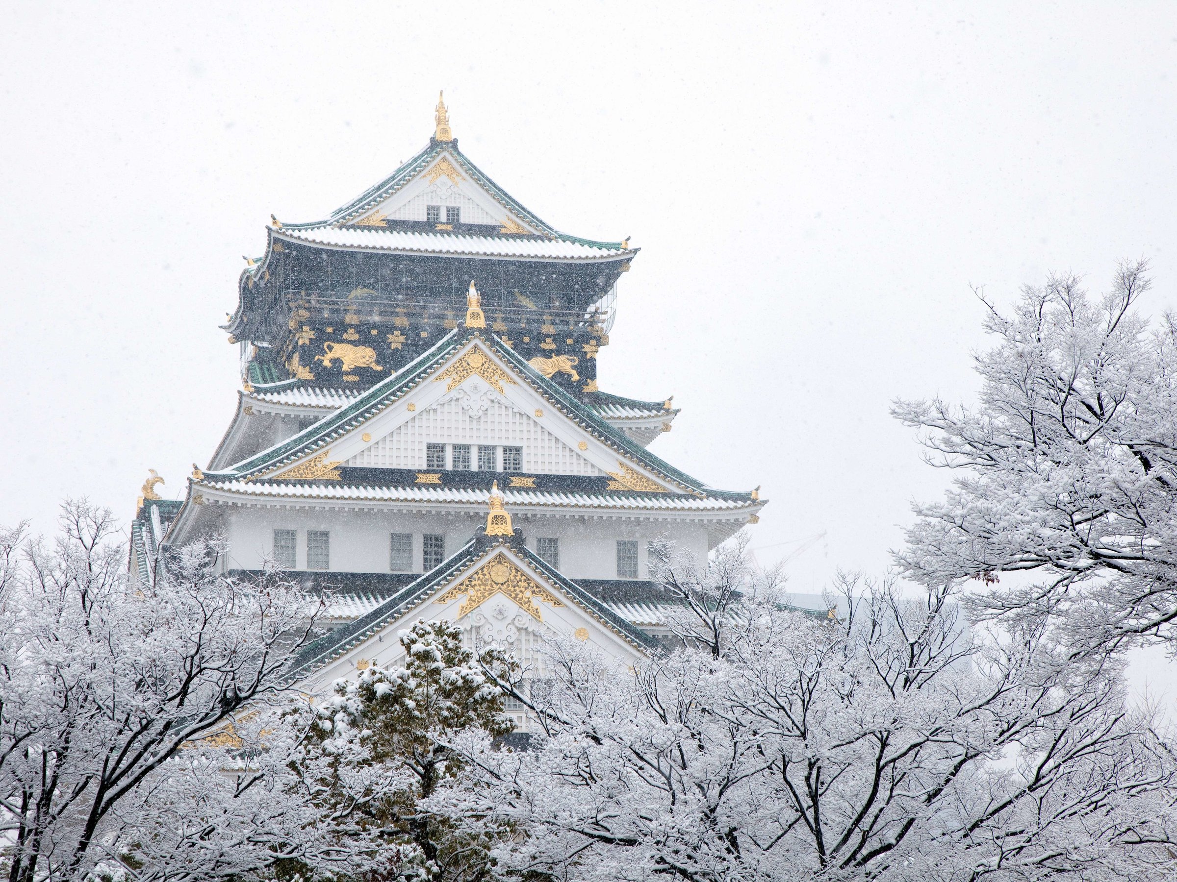 ����~�i�F�i�C���[�W�j