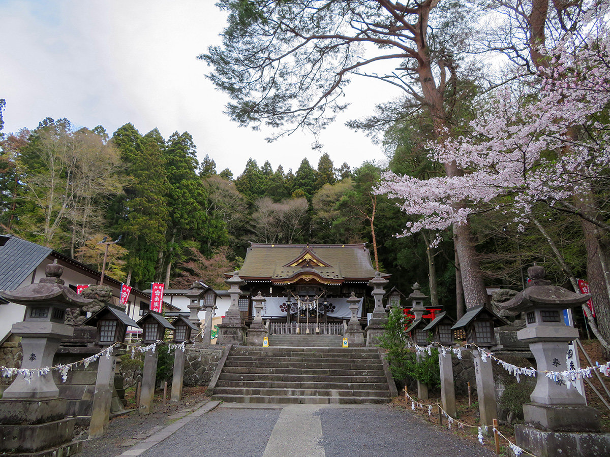 #��ΐ_�Ё@���ق���U�����Ȃ���5��