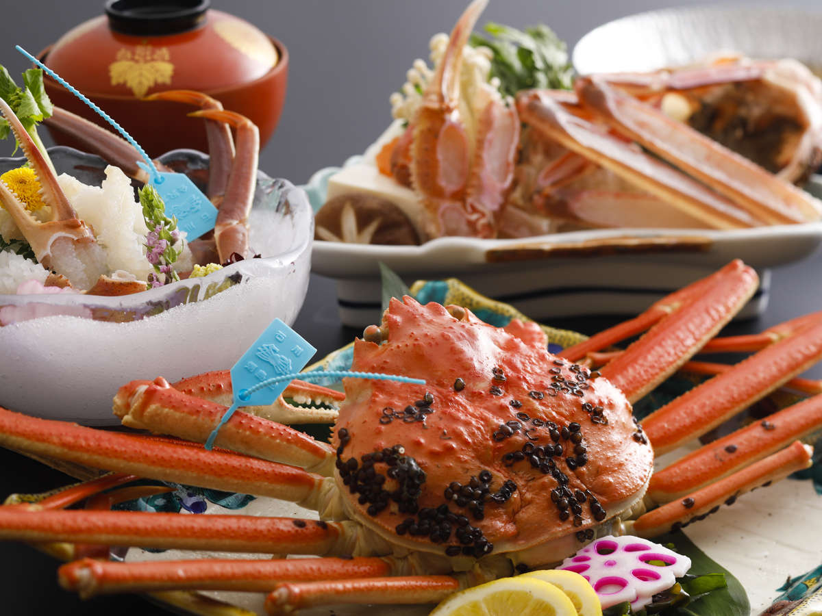 䥂ŃKjAJjhJjAt̉\Kj