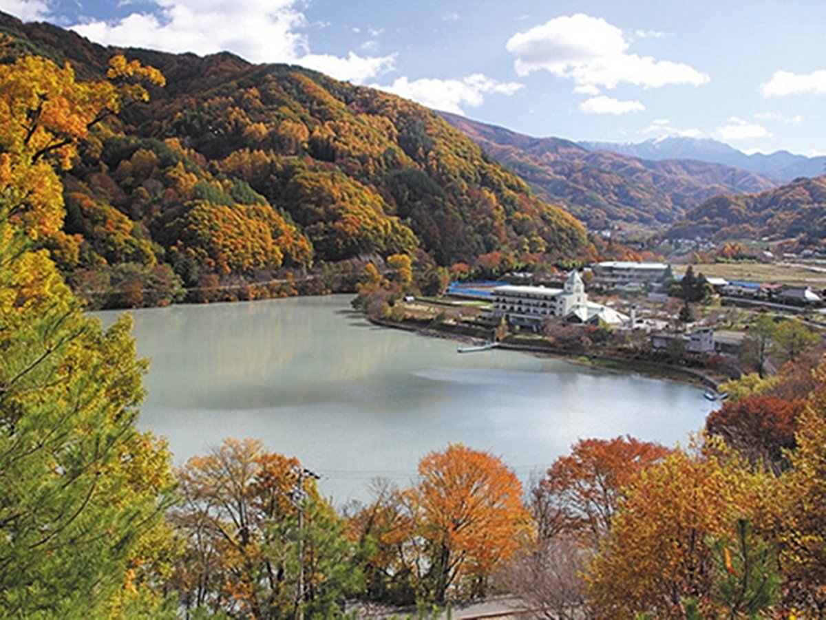 *yOρzH̍΂͍gt̖ɗlςAlG܁X̌iFy݂