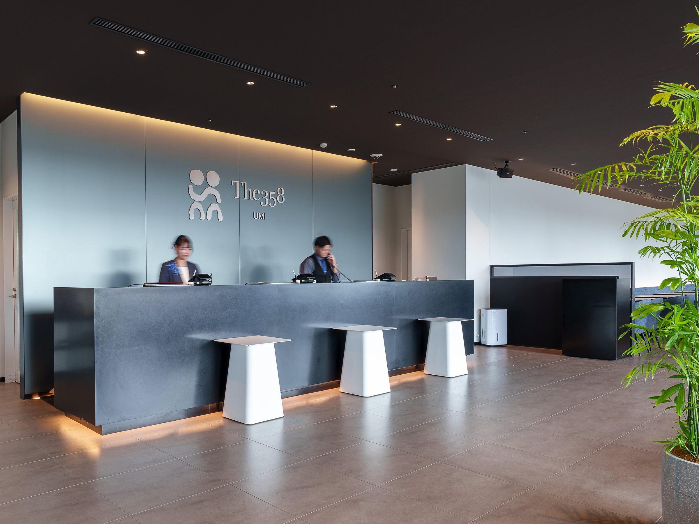 �t�����g�i�P�K�j