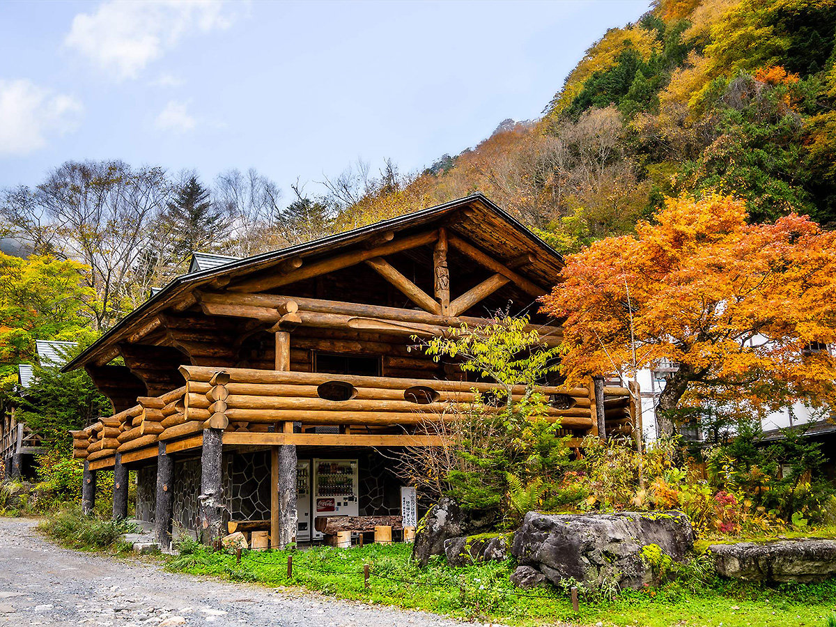 yO HzHɂ͍gtł܂̌iFʂ܂B