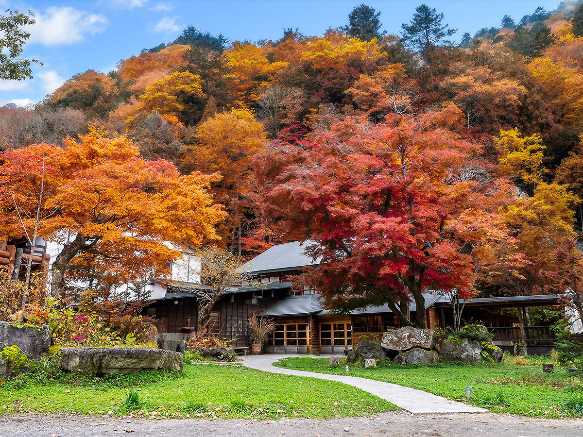 yO HzHɂ͍gtł܂̌iFʂ܂B