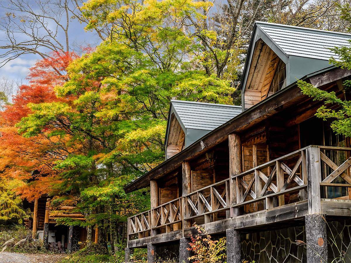 yO HzHɂ͍gtł܂̌iFʂ܂B