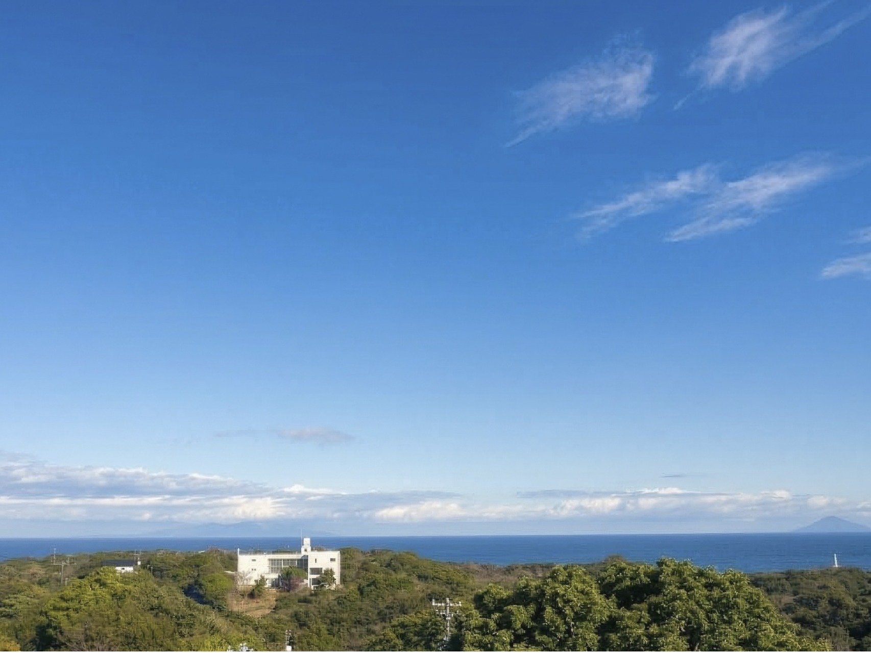 �q������̒��]