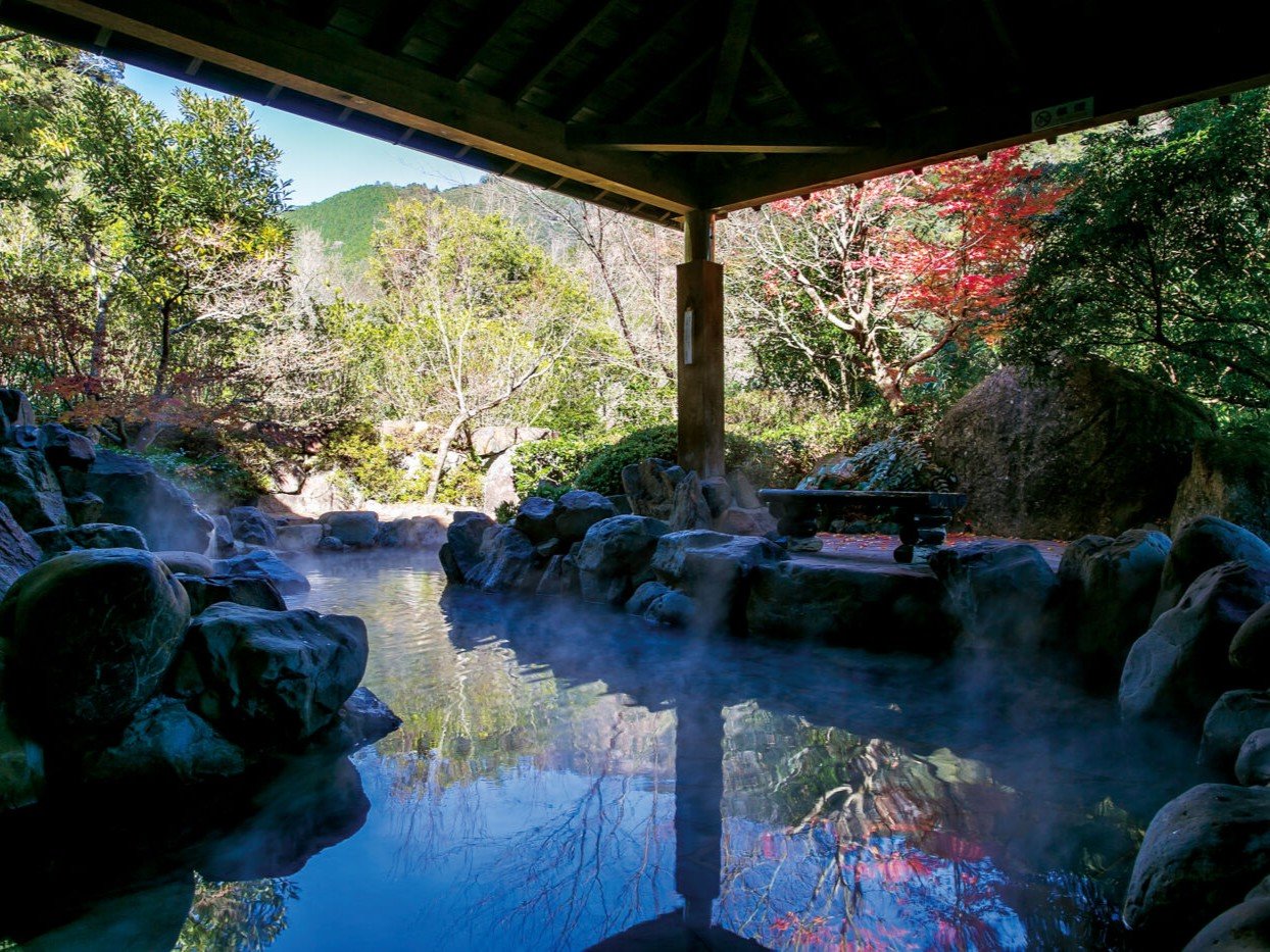 y򓏁̓z╗CIVFt͎RAH͍gtAG߂̈ڂςfGȘIVC