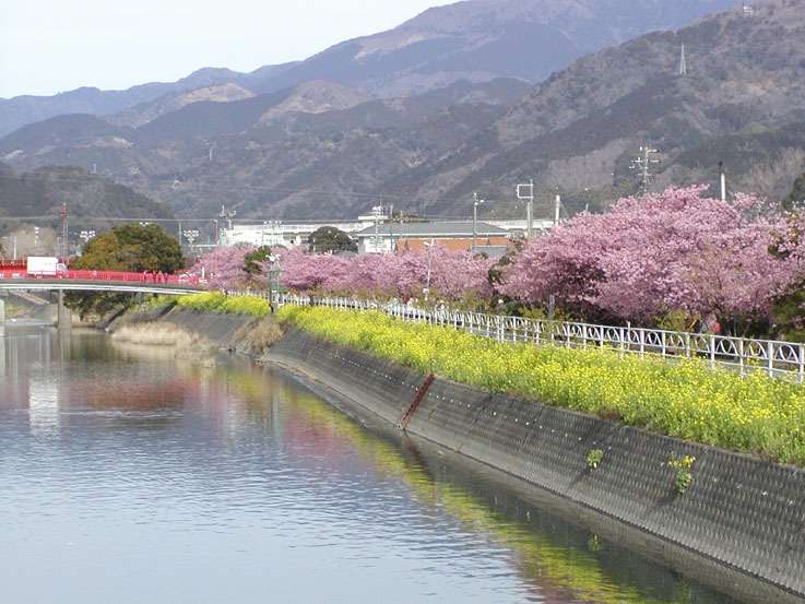 �͒Í��܂�