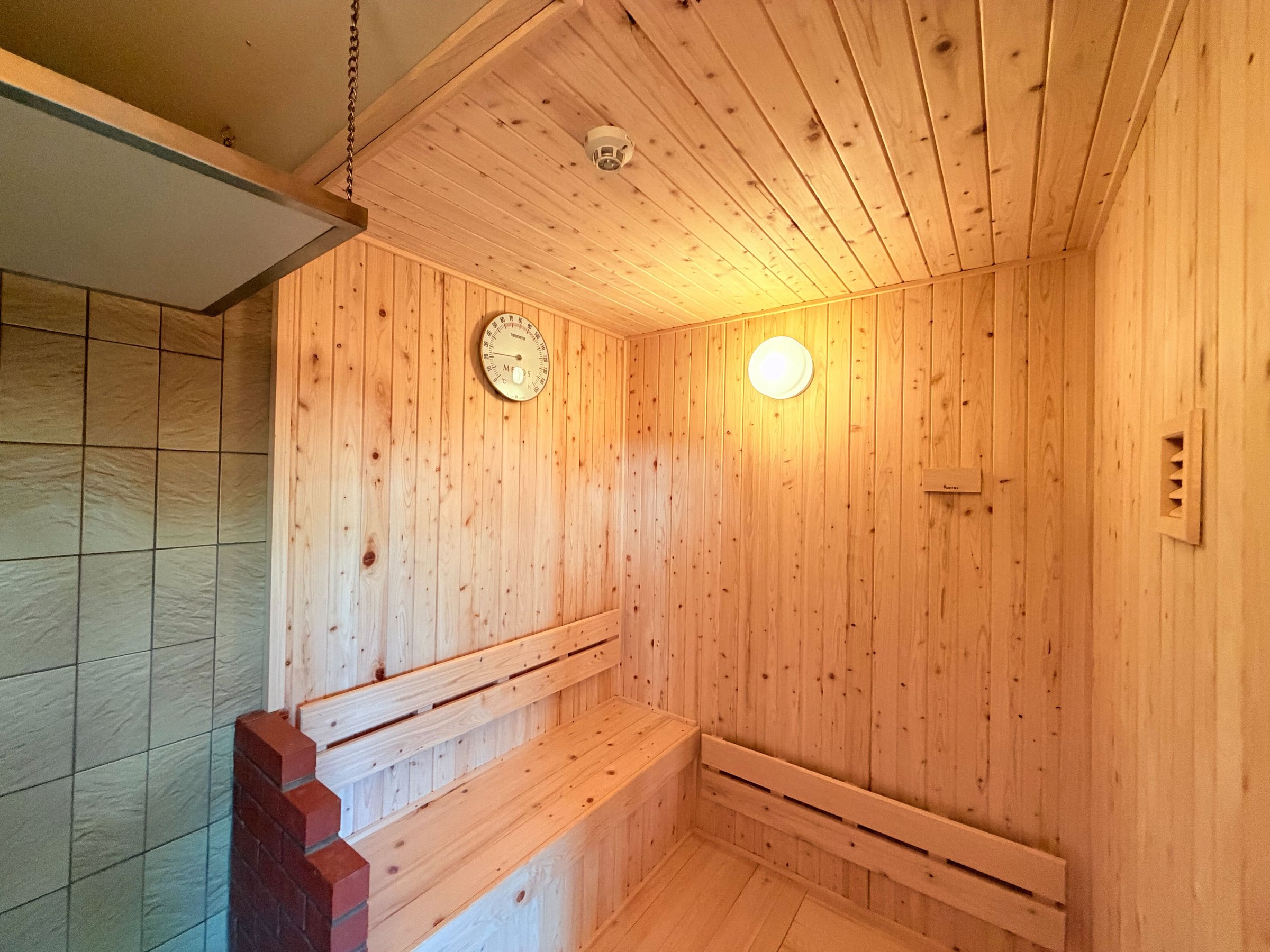 �T�E�i����