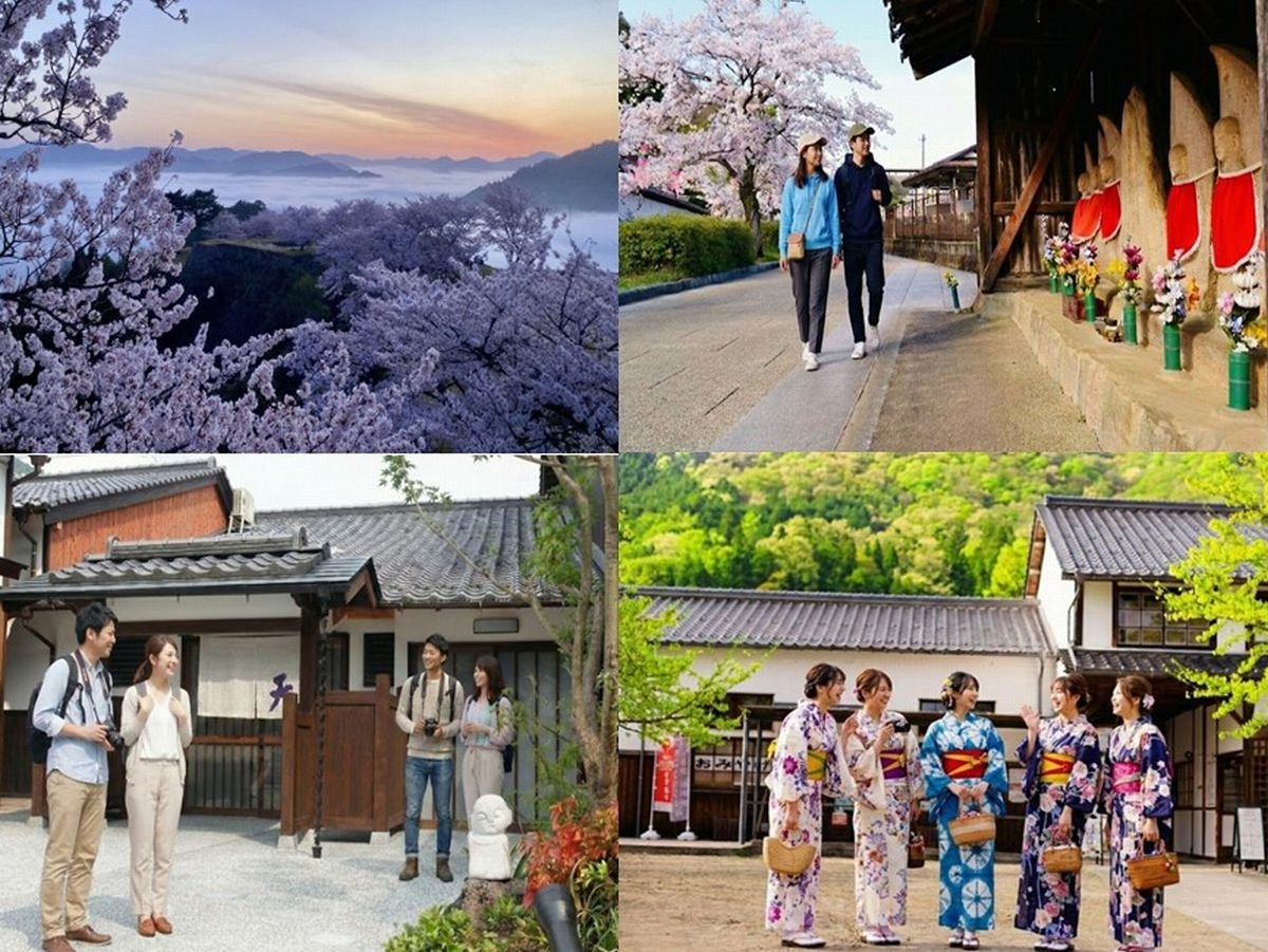 ������V�΂̔������|�c�鉺���ցB���j��a�������̒��ƂƉ���ŉ߂����x���B�I�v�V�����ŐF���ߑݏo��