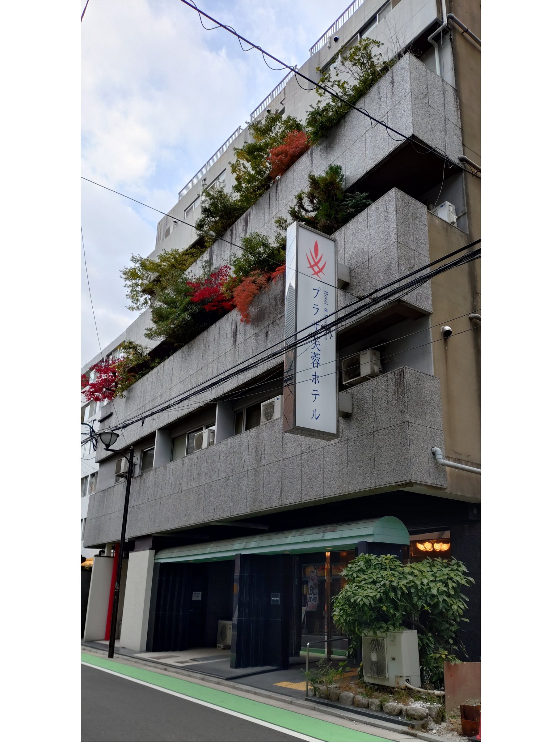 ��@�w���k��3���B�S���V�X�e���o�X���V�X�e���L�b�`�������􎩐����o���Ď���̂悤�ȋ��S�n�ł��I�I