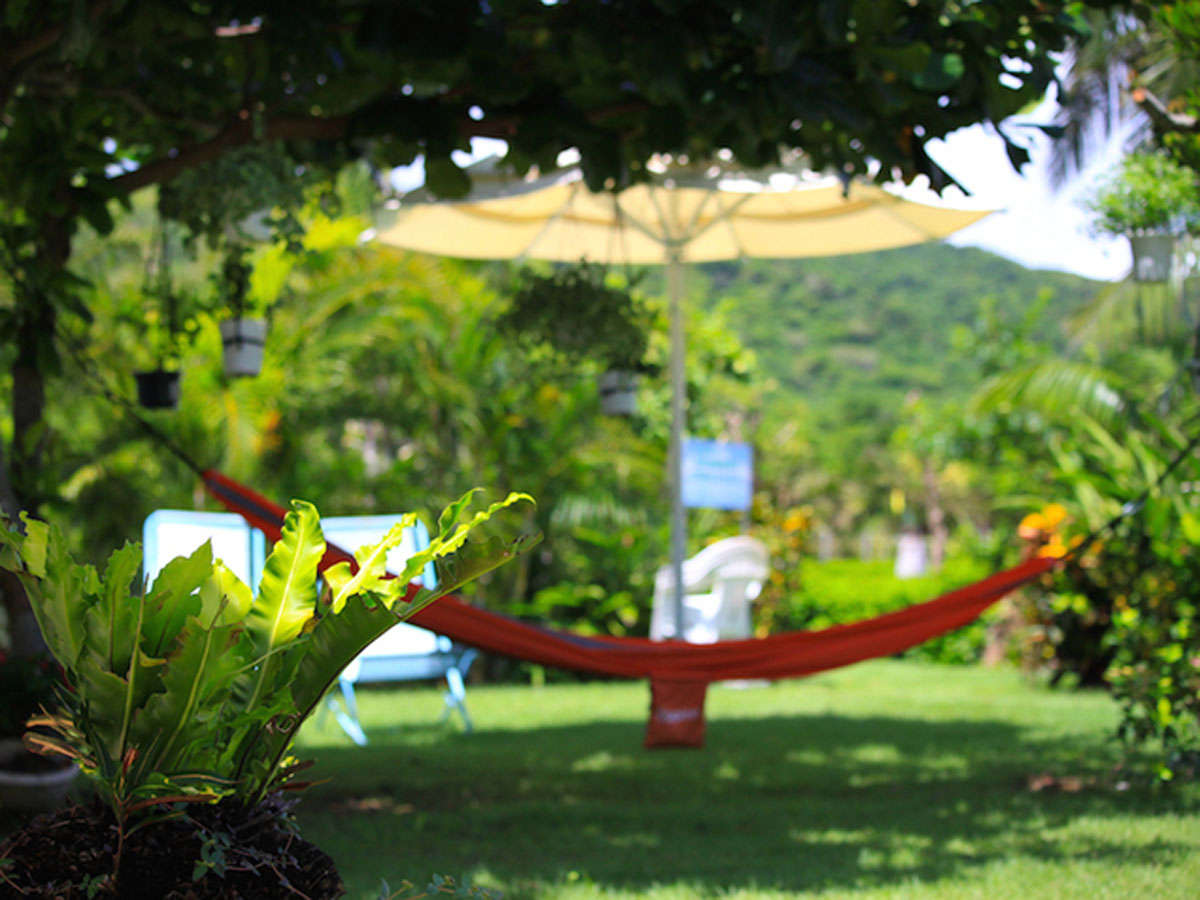 �y�K�[�f���z�؉A�̃n�����b�N