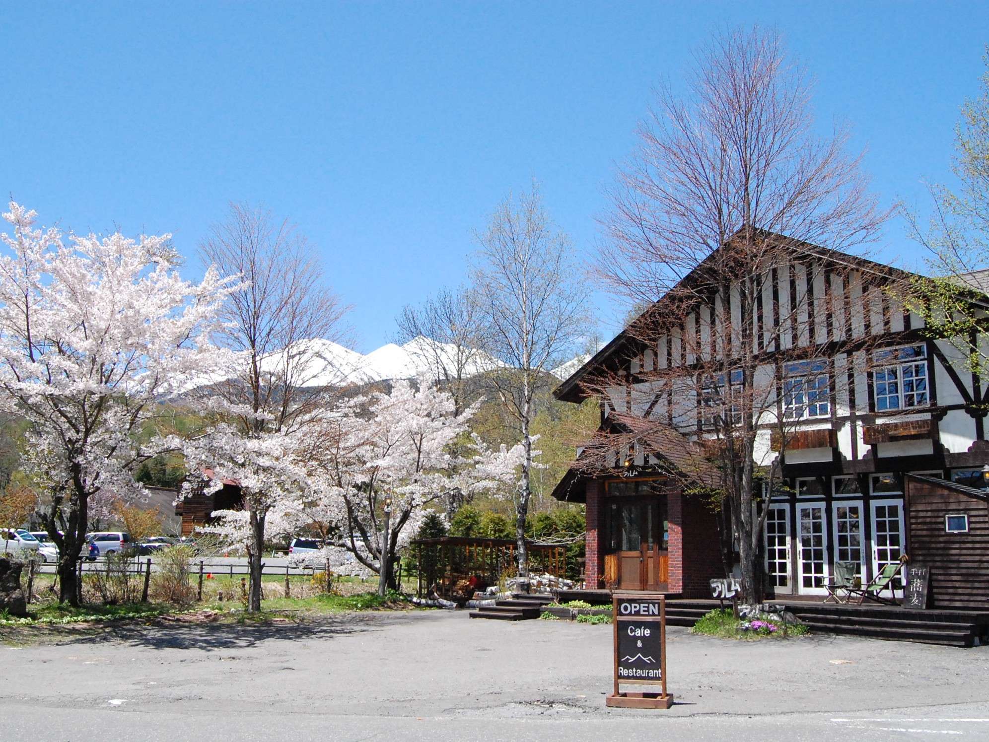 �t�̃A�����B�����炭�̂�5��������B