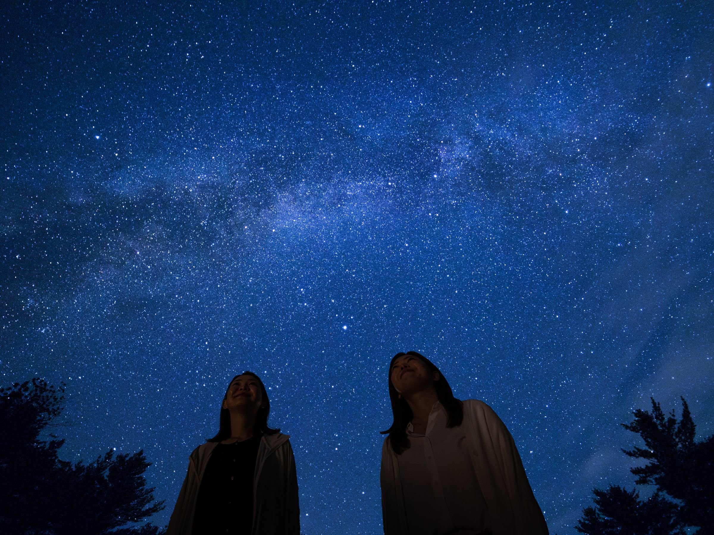 �����x�����̐���