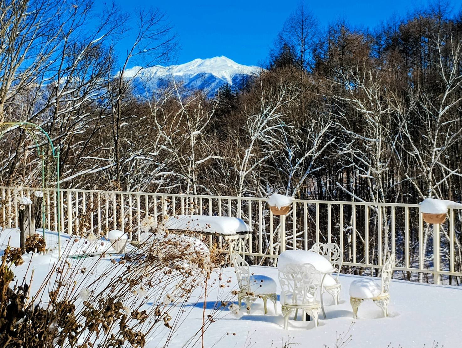 �{�݁y�O�ρE�~�z�~����A�K�[�f���e���X���猩���w�G���Ɗx�x