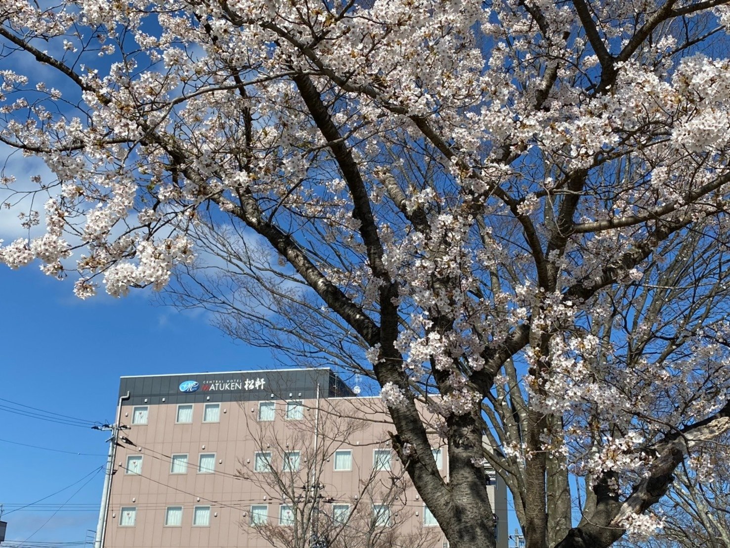 �i�q�C����w����Ԃ�5���B�Z�u���C���u���܂œk��30�b�B�n�����H�X�������B�r�W�l�X�E�ό��̋��_�ɁB