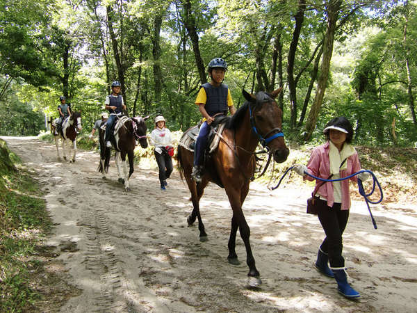 yz[XgbLO()zqlnj􂨔nɗhČiFy݂Ȃi(ʓr) 