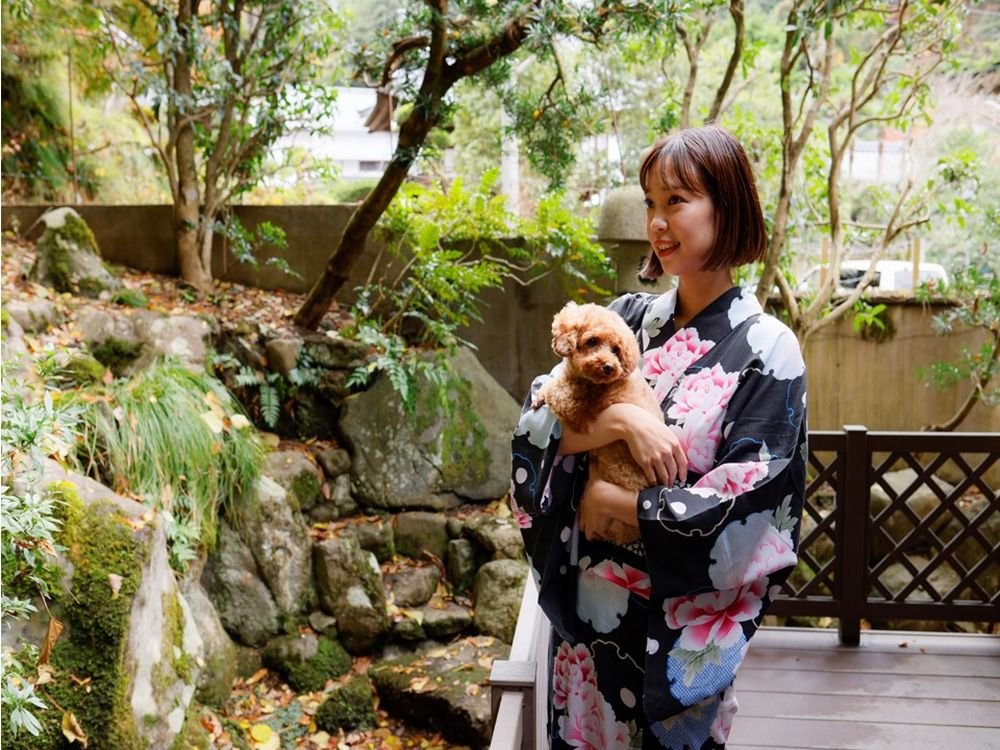 R4�N11��15���V���̃E�b�h�f�b�L�t��񂿂�񓯎��a�m��36�u