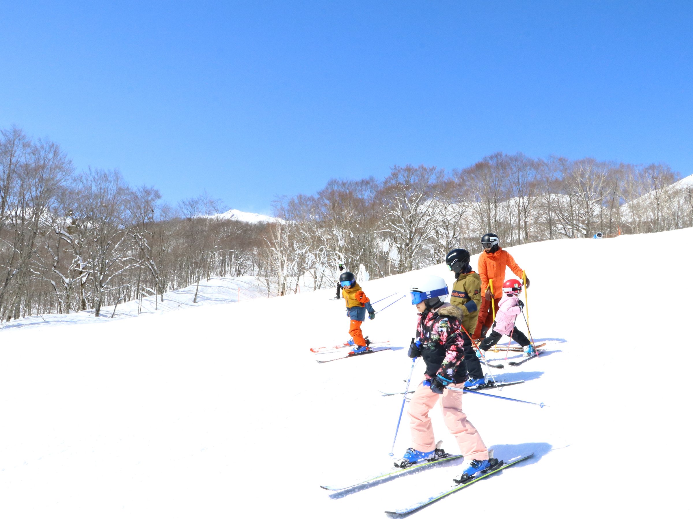 ���h���җl�����^���������T�ł����ɃE�B���^�[�X�|�[�c���y���߂��Ⴂ�܂���