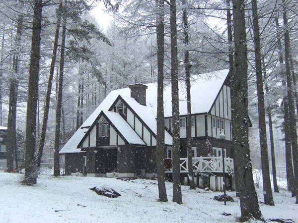 ��̃V�����[�O�����f������ԍD���Ƃ̂����𒸂��Ă���܂��B