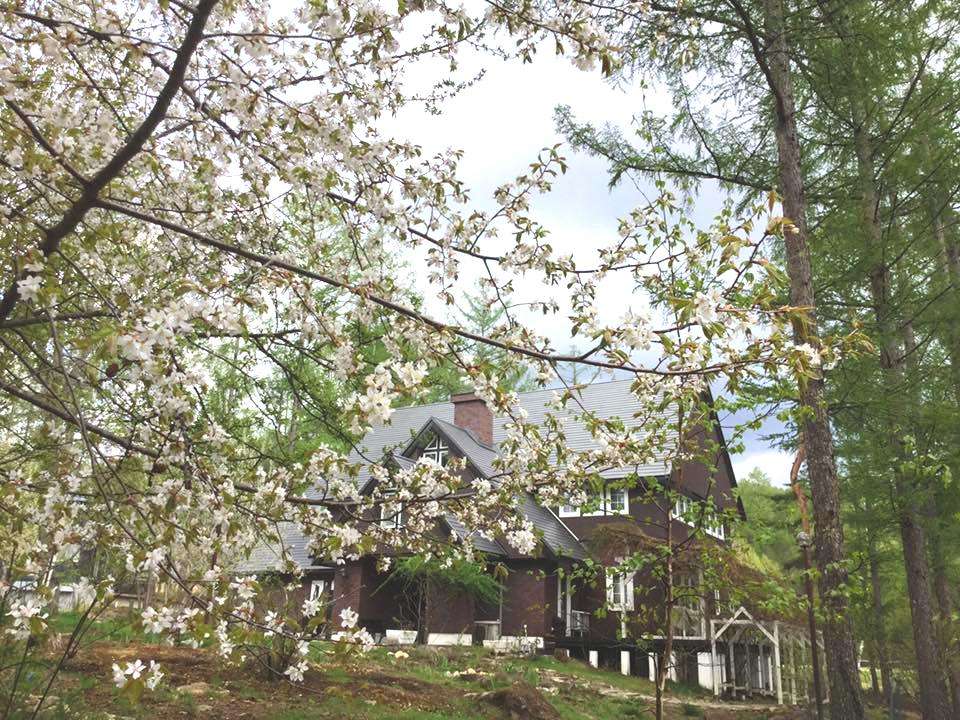 �t�B�x�炫�̎R���ƃV�����[�O�����f��